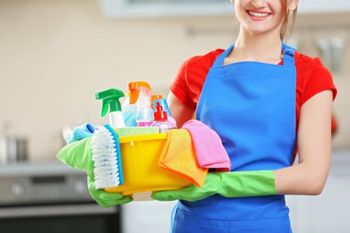 Accessible carpet cleaning website page in the Queenspark area