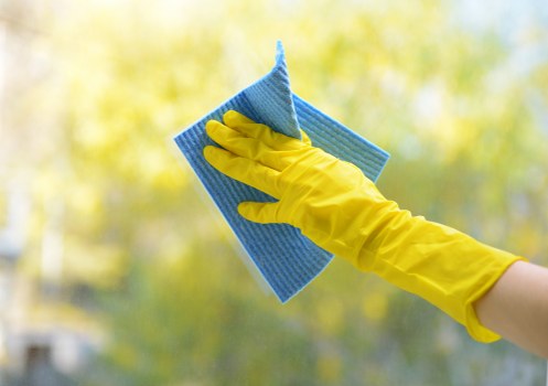 Illustration of essential cookies supporting Carpetcleaning Queenspark website functionality