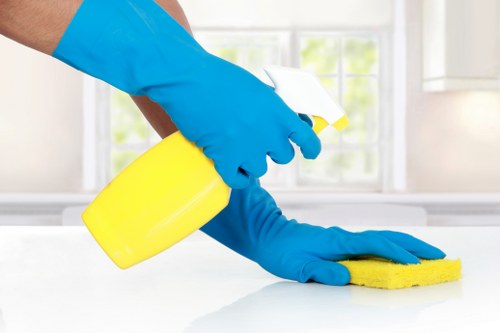 Professional upholstery cleaning in Queenspark for a fresh sofa