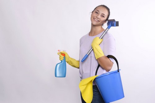 Reusable cleaning supplies and packaging reduction