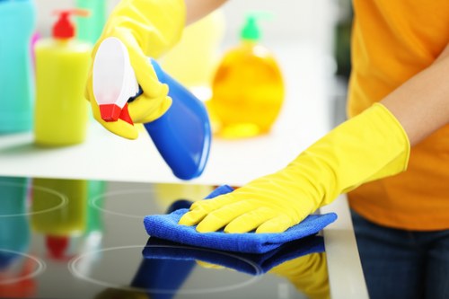 Queenspark home deep cleaning focusing on kitchen surfaces and appliances