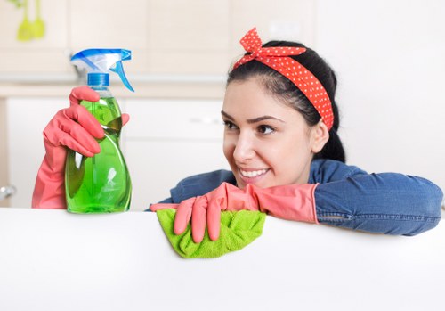 Deep oven cleaning process for a kitchen appliance in Queenspark