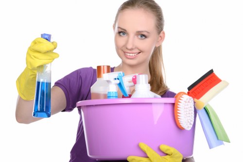 Eco-friendly home cleaning tools used by Queenspark cleaners