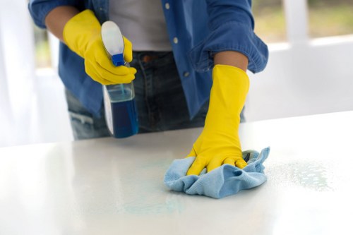 Professional carpet cleaning team working safely in Queenspark