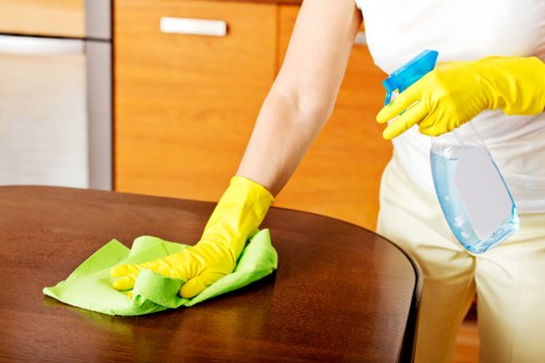 Queenspark carpet cleaning process focused on deep freshness and stain care